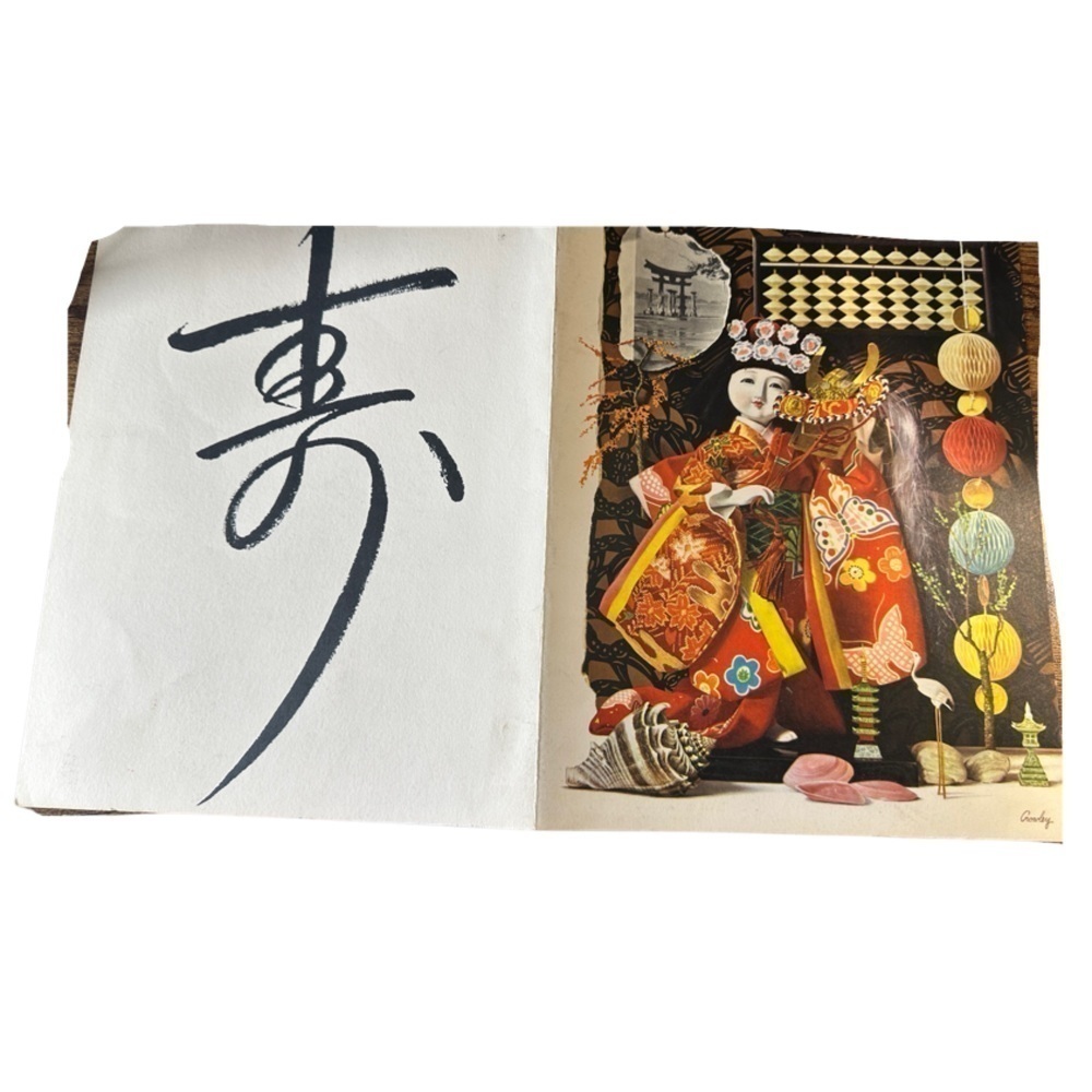 Japan - Artist Don Crowley 🇯🇵 (Fair Condition - 11x17) 🏯